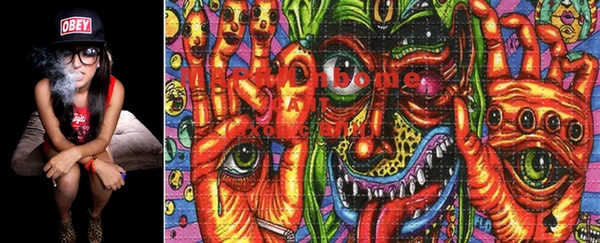 PSILOCYBIN Баксан