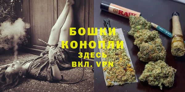 PSILOCYBIN Баксан