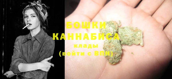 PSILOCYBIN Баксан