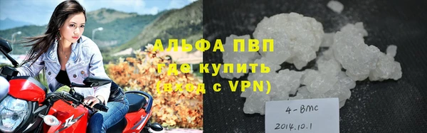 PSILOCYBIN Баксан