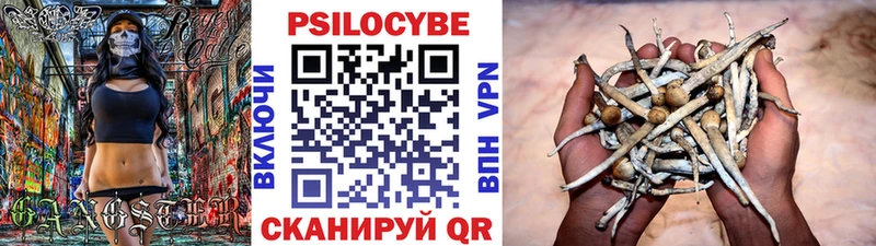 Галлюциногенные грибы Magic Shrooms Высоцк