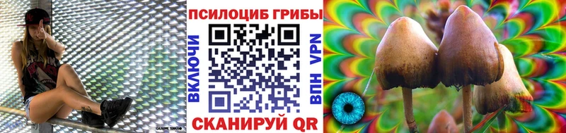 Псилоцибиновые грибы Psilocybine cubensis где купить наркоту Высоцк